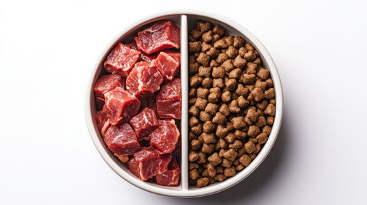 Understanding Your Dog's Digestive System: Why Raw Makes Sense