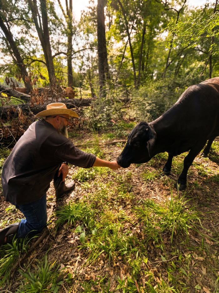 at the north pasture
