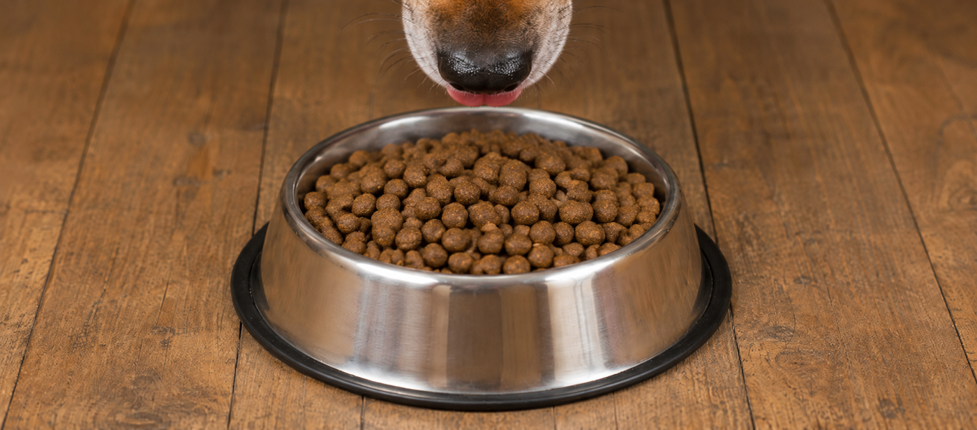 Dry kibble